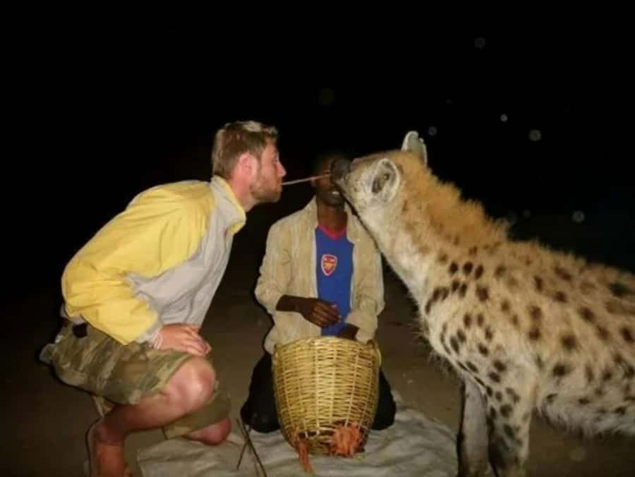 2 Day Harar City Tour & Hyena Feeding - From Addis Ababa to Dire Dawa and Harar