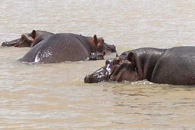 2-Day private Tour in Bahir Dar and Blue Nile falls - Key points to know before booking