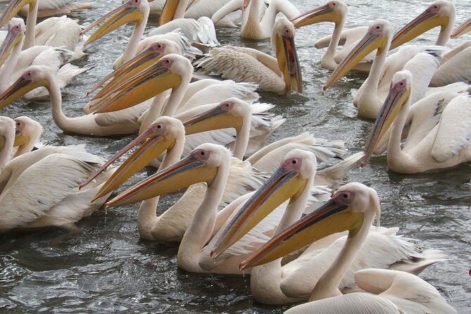2-Day private Tour in Bahir Dar and Blue Nile falls - Private service and guide support