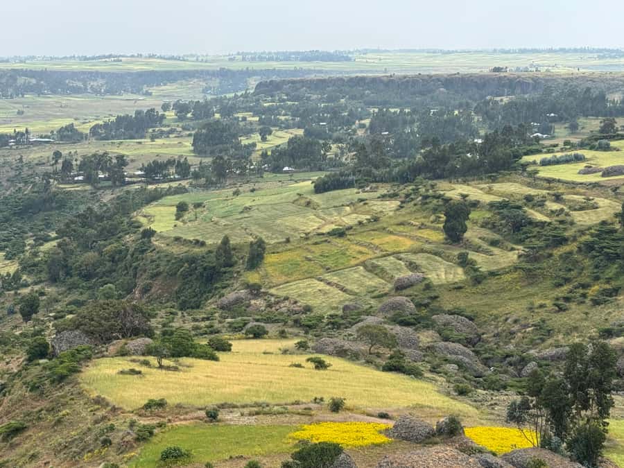 2 days Addis Ababa + Monastery, Baboons & Portuguese bridge - What this two-day Ethiopia tour actually covers