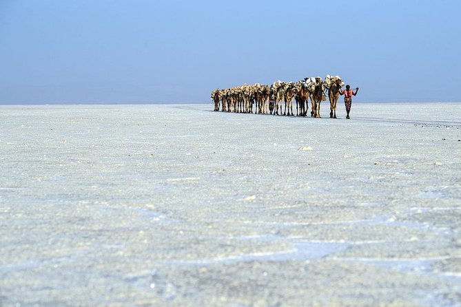 2 Days Dallol Trip - Salt mining at Ragad and Asebo