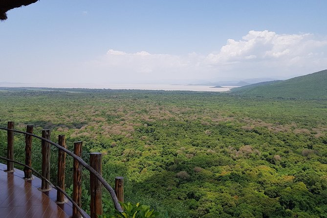 2 Days Ethiopian Rift Valley Lakes Tour from Addis Ababa - Abiyatta-Shalla’s wildlife and hot springs