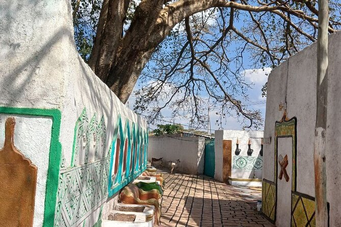 2 Days Harar Tours - Key points before you book
