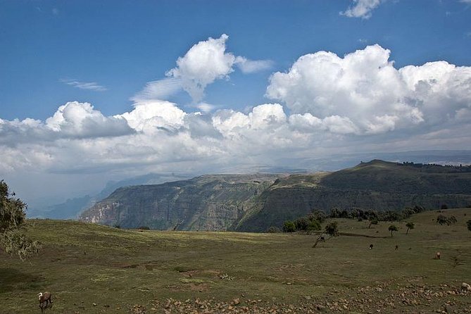 2 Days Simien Mountains Trekking - Day two: Gich Abyss and a 500-meter waterfall