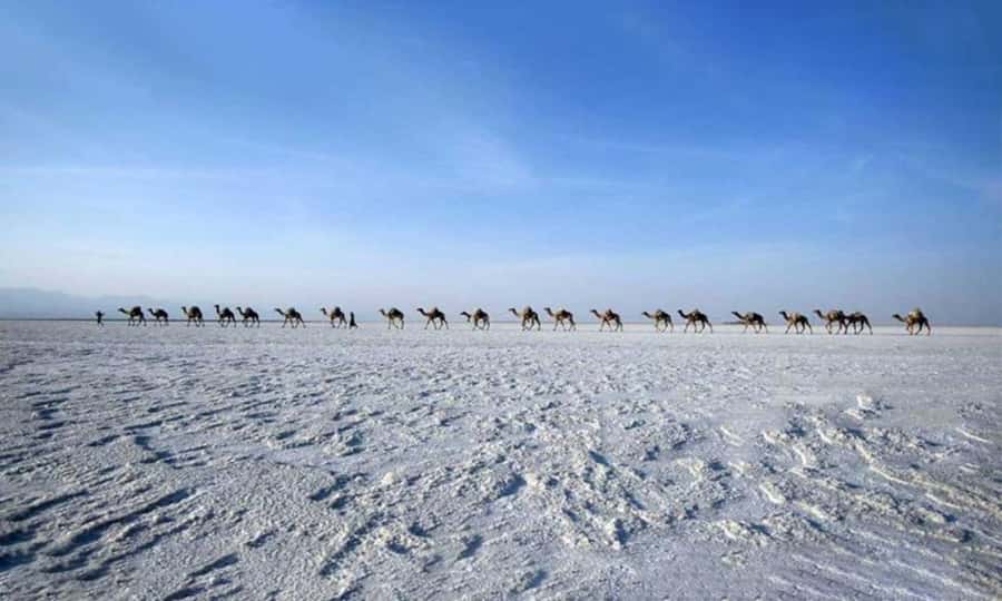 2-Night 3-Day Danakil Depression Tour without Flights - Day 2: Craters, saltwater, and Hamedela camping