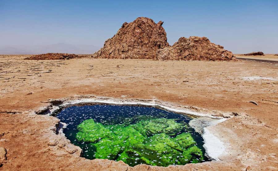 3-Day Danakil Depression A Journey into Earth’s Fiery Heart - Day 1: From Semera to Lake Afdera and Hamed Ela