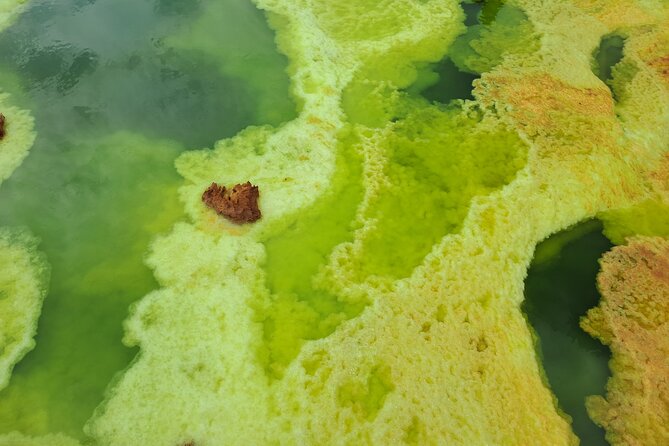 3 Day Danakil Depression Ertale and Dallol Tours - Transport, camp, food, and group size