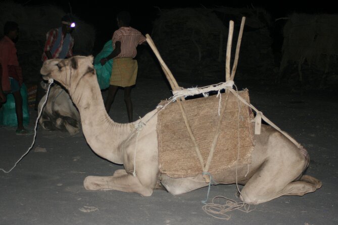 3-Day Danakil Depression Expedition - Camping, food, water, and daily comfort