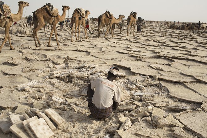 3 Day Tour to the Danakil Depression, Dallol, and Earta'le Volcano - What the $550 price really includes