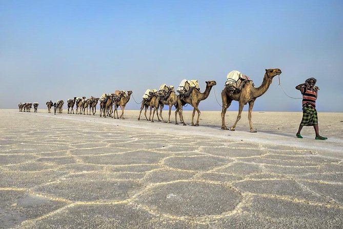 3 Day Tour to the Danakil Depression, Dallol, and Earta'le Volcano - Who will enjoy this tour most