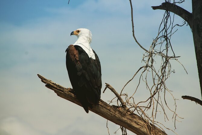 3 Days, Arba Minch, Dorze village and Konso Village - Guide quality and the private 4x4