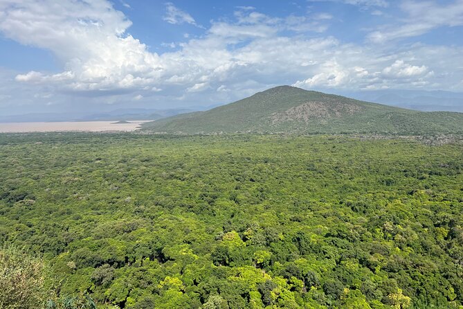 3 Days, Arba Minch, Dorze village and Konso Village - Should you book the Arba Minch, Dorze, and Konso tour?