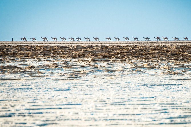 3 Days Danakil Depression Tour - Guides, drivers, and the human side of the trip