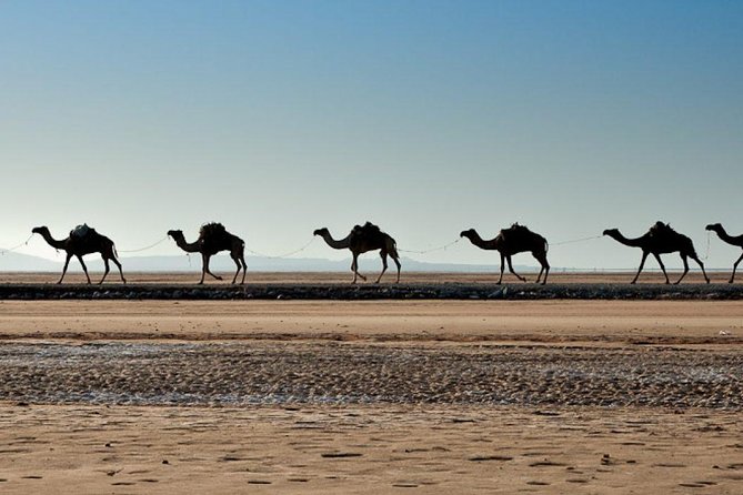 3 Days Danakil Depression Tours Via Semera - Is $420 a fair price?