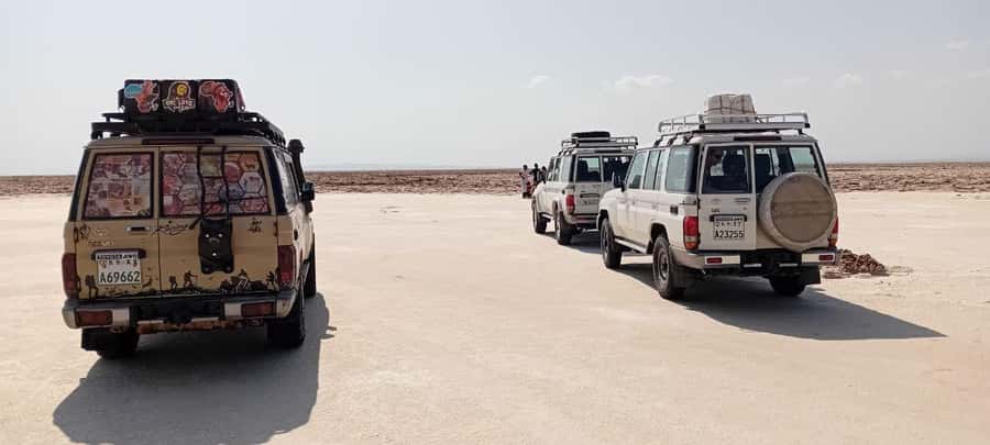 3 Days Desert Adventure: Discover Danakil's Hidden Wonders! - Who should book this Danakil trip?