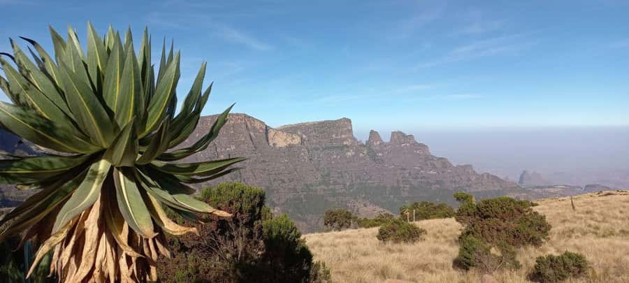 3 Days Trekking & Wildlife Spotting in the Simien Mountains - Day two: Jinbar Waterfall and Mount Inatye