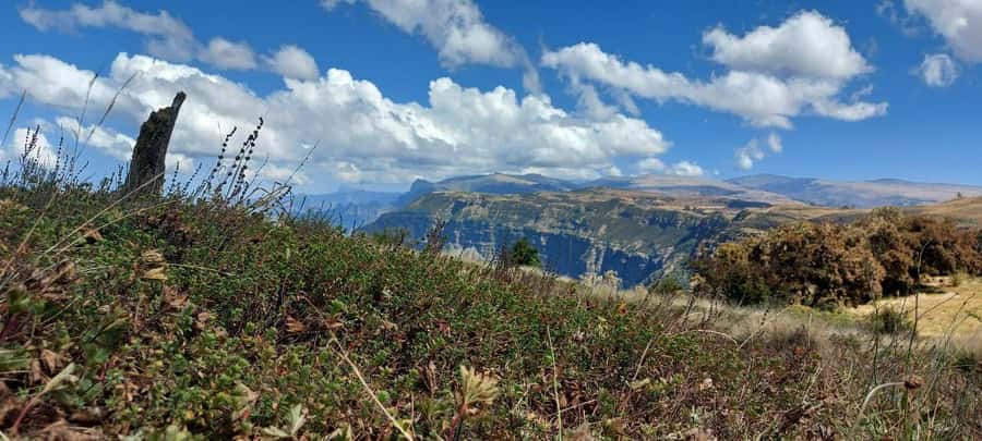 3 Days Trekking & Wildlife Spotting in the Simien Mountains - Who should book, and who should think twice