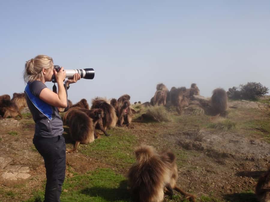 3 Days Trekking & Wildlife Spotting in the Simien Mountains - Day one: Gondar, Debark, and the trail to Sankaber