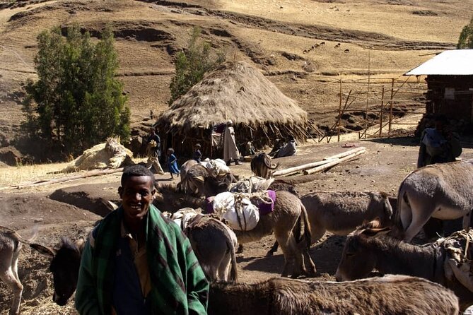 4 Day Trekking Simien Mountains - Day 2: The Jinbar waterfall and the village of Gich