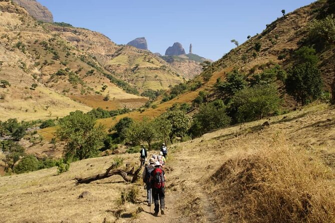 4 Day Trekking Simien Mountains - Day 3: Giant lobelia, Imet-Gogo, and the long route to Chennek
