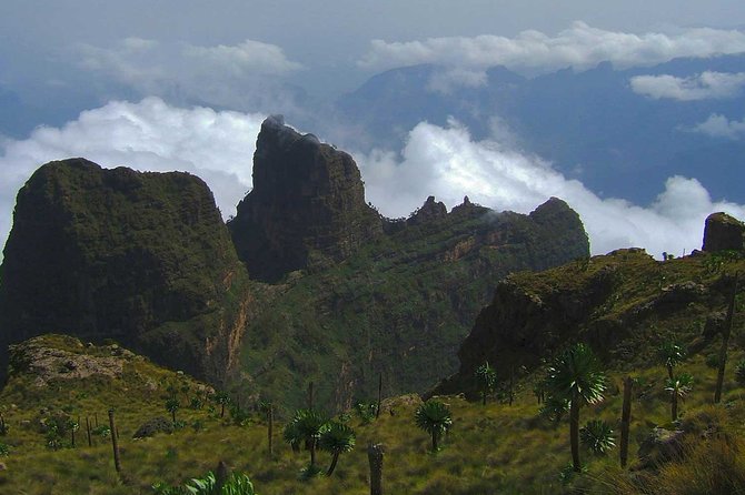 4 Days Trekking to Simien Mountain National Park - Fitness, altitude, and what to clarify