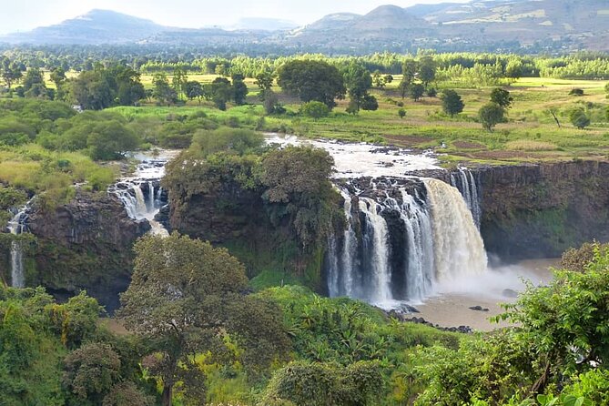 5 days Exploring North Ethiopia's Rich History and Culture - Day 2: Gondar’s castles and church art