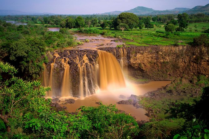 5 Days North Ethiopia Tours - Simien Mountains and rare highland wildlife
