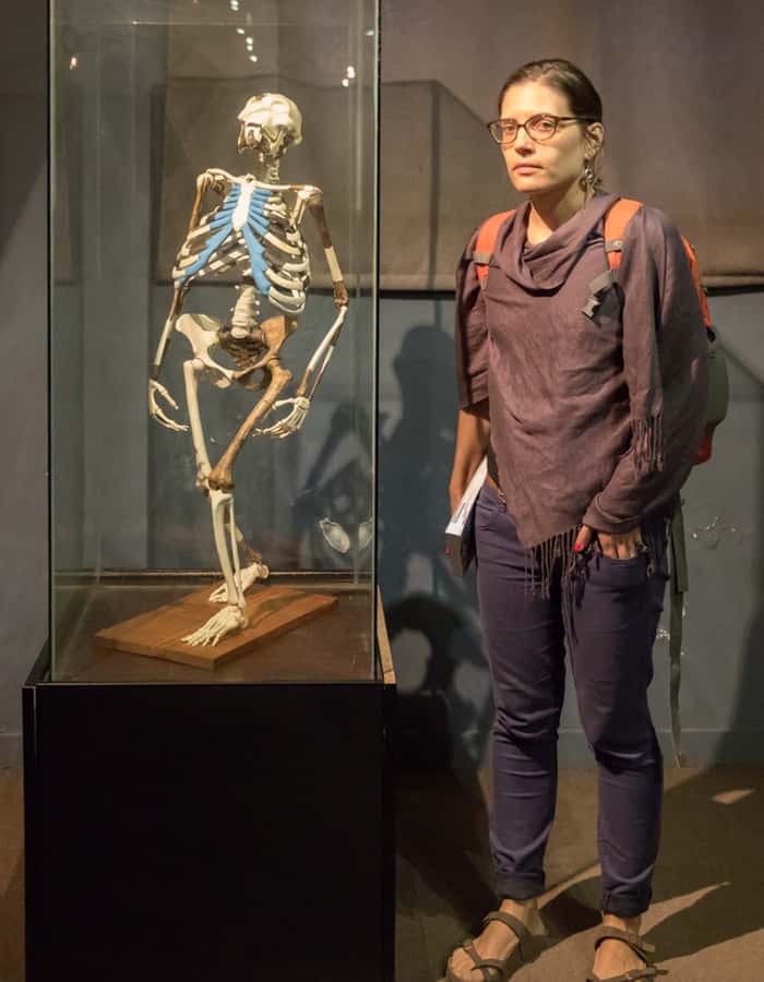 5 hours Addis Ababa Layover city tour - Lucy At The National Museum Of Ethiopia
