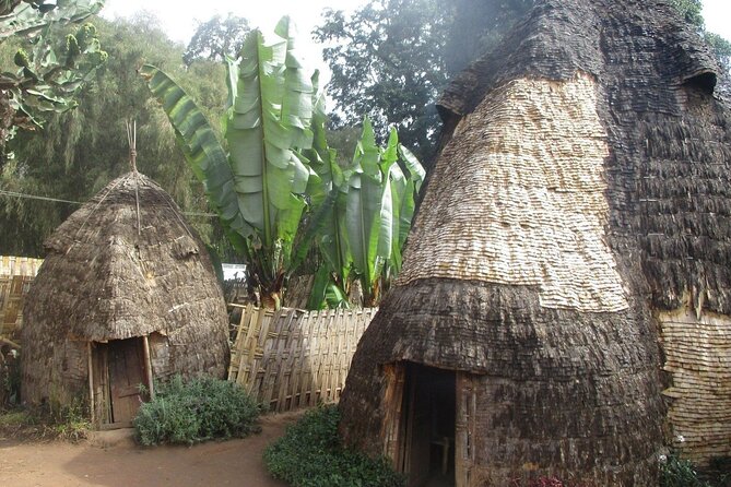 6 day Omo ValleyTours - Day 6: Lake Chamo, Arba Minch, and return to Addis