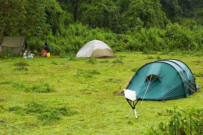 6 Days Bale Mountains Trekking - Day 5: From the high country to Harenna Forest
