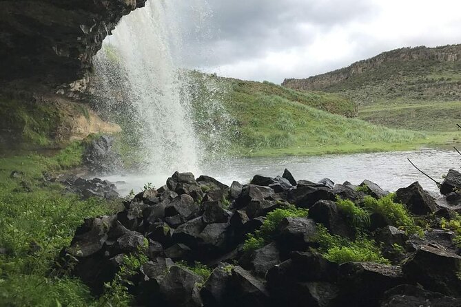 6 Days Bale Mountains Trekking - Day 6: Airport transfer and return to Addis Ababa