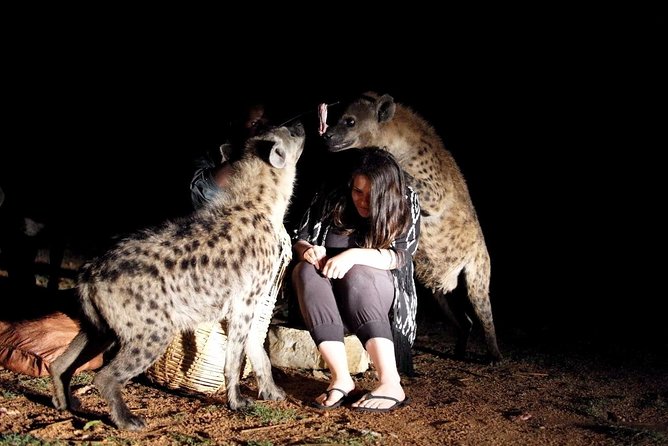 6 Days Lalibela, Omo Valley and Harar - Comfort, guides, and the practical tradeoffs