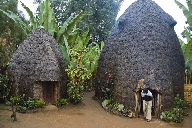 6 days Omo valley cultural Tour - Day Three: Mago National Park and the Road to Turmi