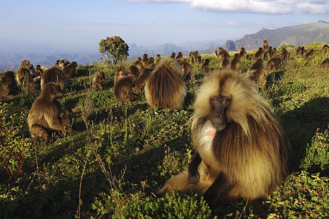 8 Days Historical tour to Ethiopia - Why this eight-day route works