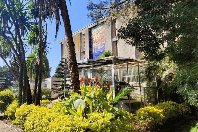 A Guided Tour of Addis Ababa That Includes a City Viewpoint - St. George’s Cathedral and the Battle of Adwa
