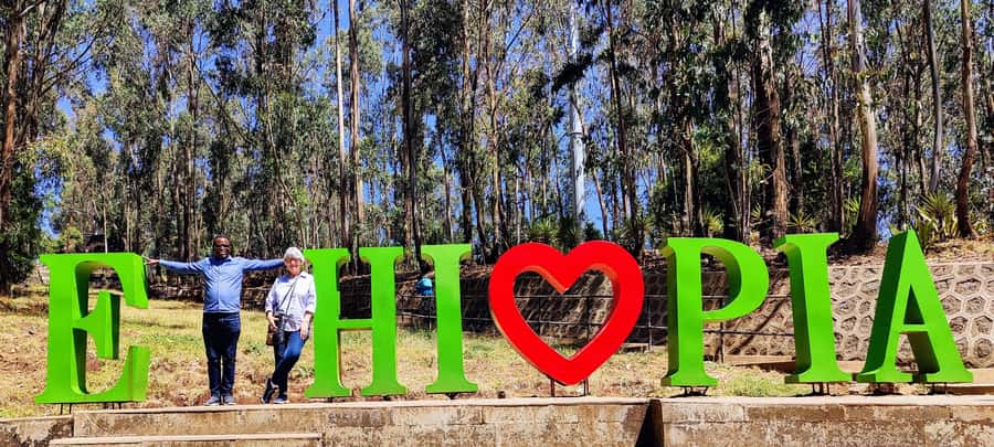 A guided tour of Addis Abeba that includes a city viewpoint - Merkato, seen in a short burst