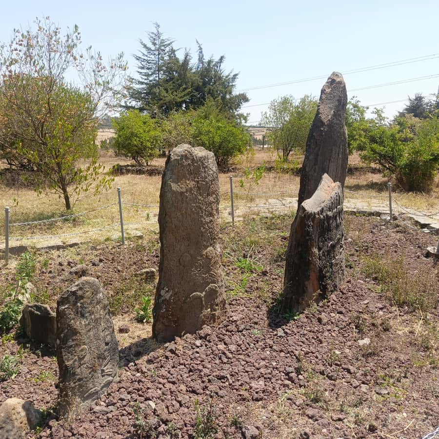 Adadi Mariam & Tiya Stelae Day Trip - Key points at a glance