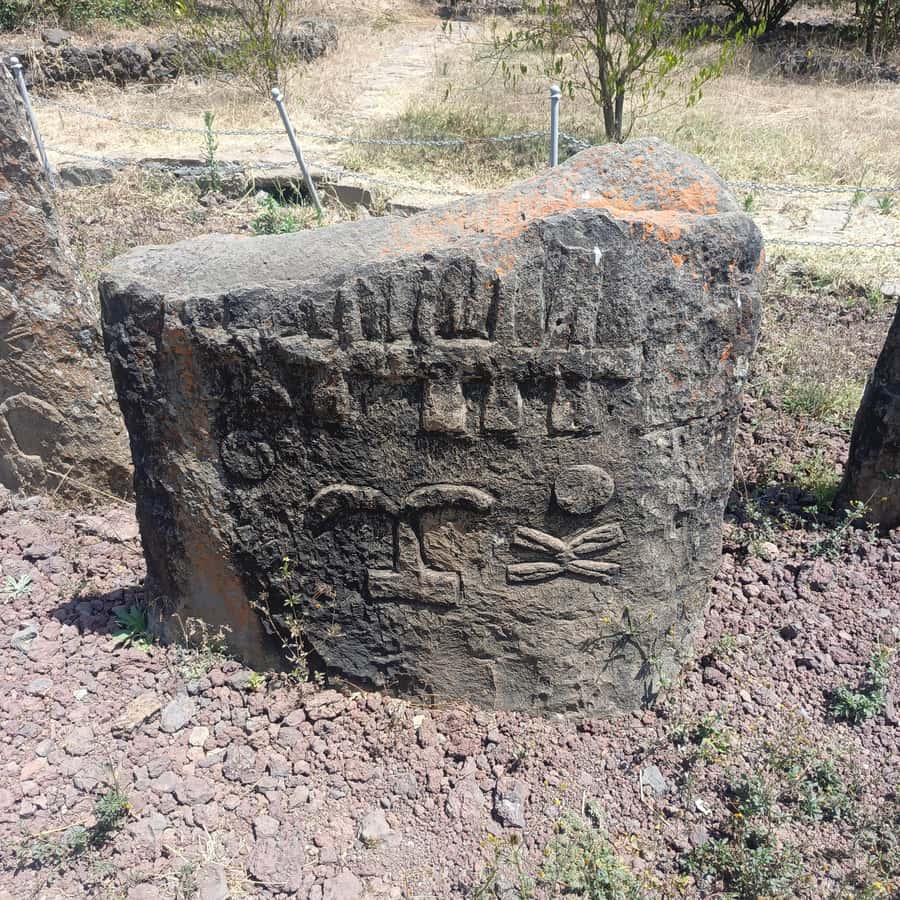 Adadi Mariam & Tiya Stelae Day Trip - Tiya and its carved 14th-century stelae