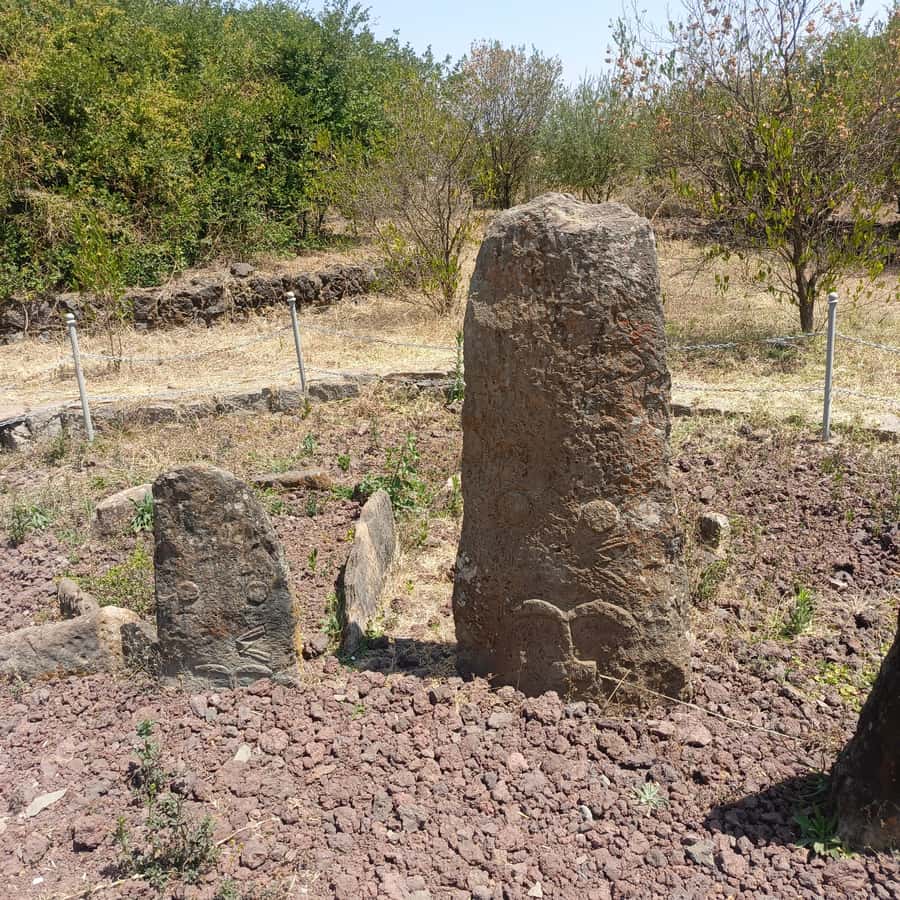 Adadi Mariam & Tiya Stelae Day Trip - Kocho, coffee, and a taste of local Ethiopia