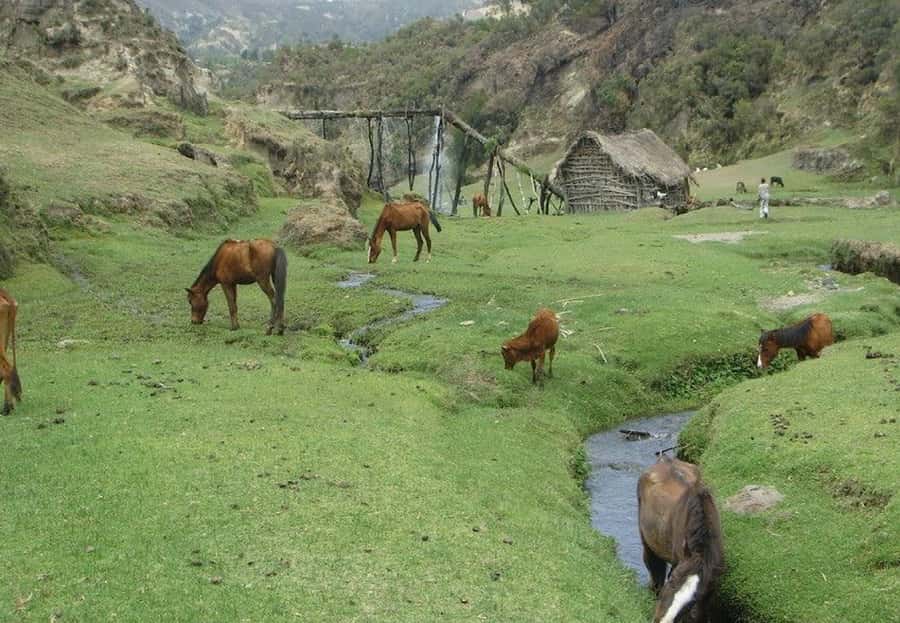 Addis Ababa: 2-Day Wenchi Crater Lake Tour with Boat Ride - From Addis Ababa to Wenchi by private vehicle