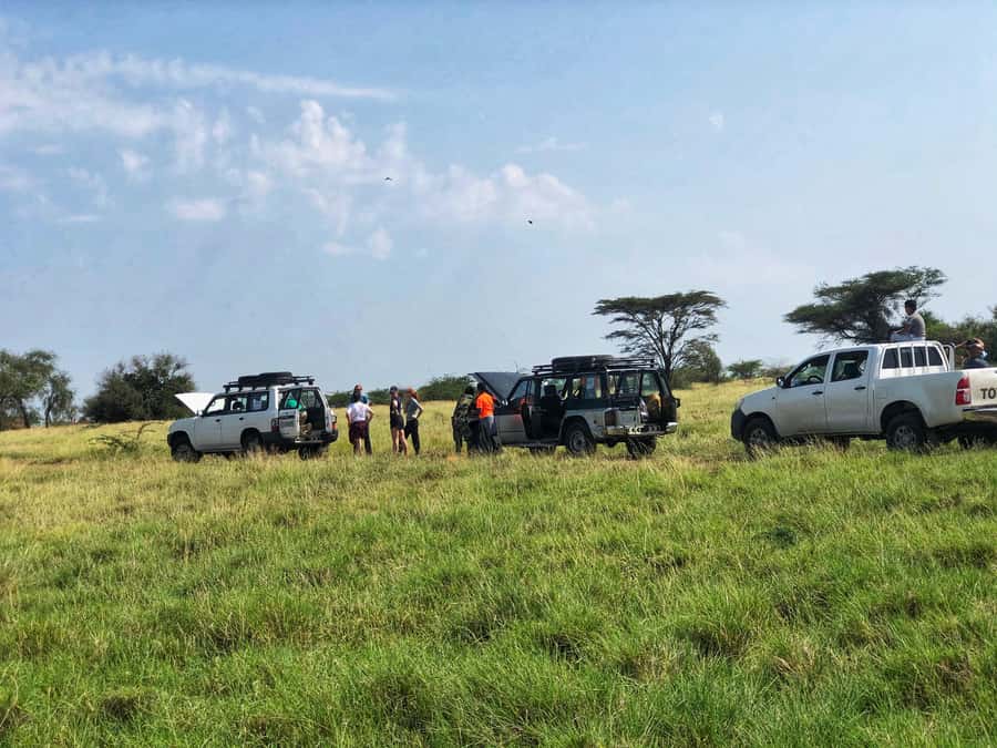 Addis Ababa: Awash National Park 2-Day Wildlife Safari - What the $288 price really covers