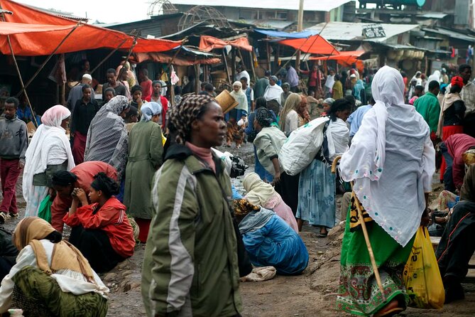 Addis Ababa City Tours Full Day With Hotel Pickup And Drop Off. - The Lion of Judah and the symbols of Ethiopia