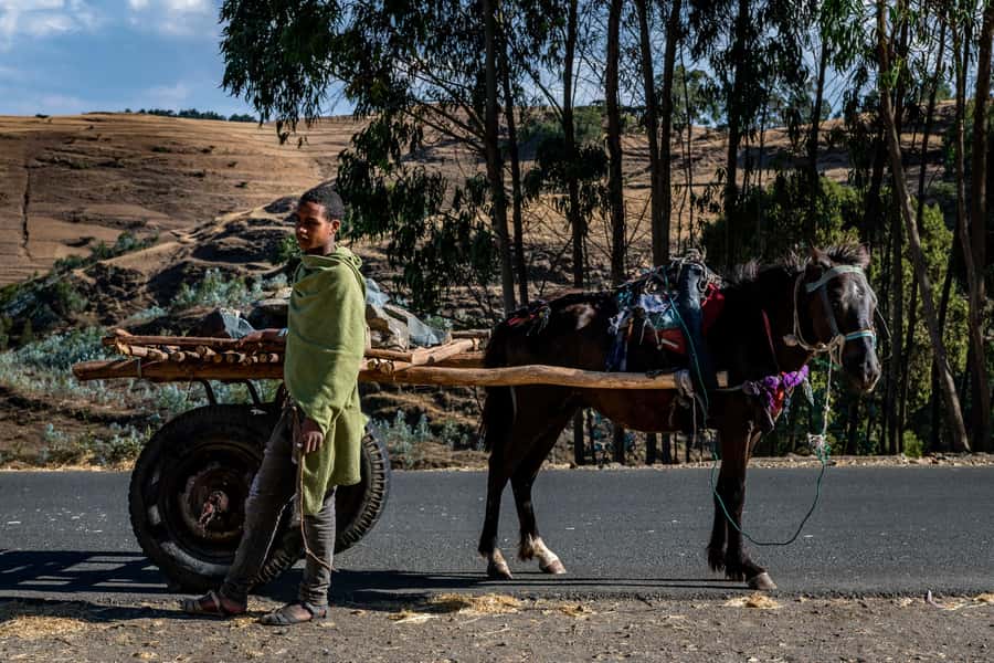Addis Ababa Day Trip to Debre Libanos - The early drive through Oromia