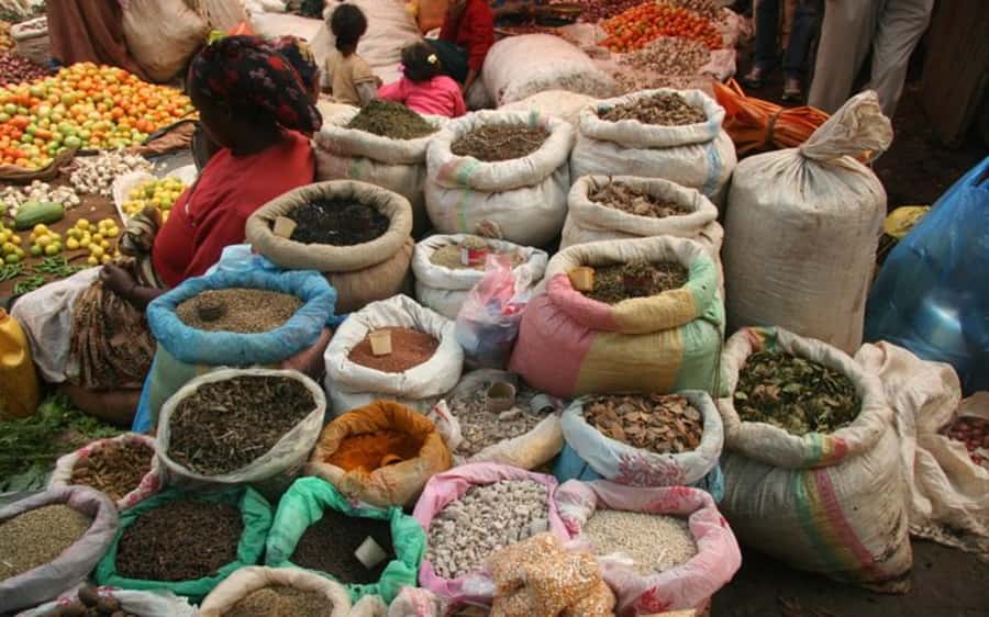 Addis Ababa: Entoto hill and Mercato Market layover tour - Key points at a glance
