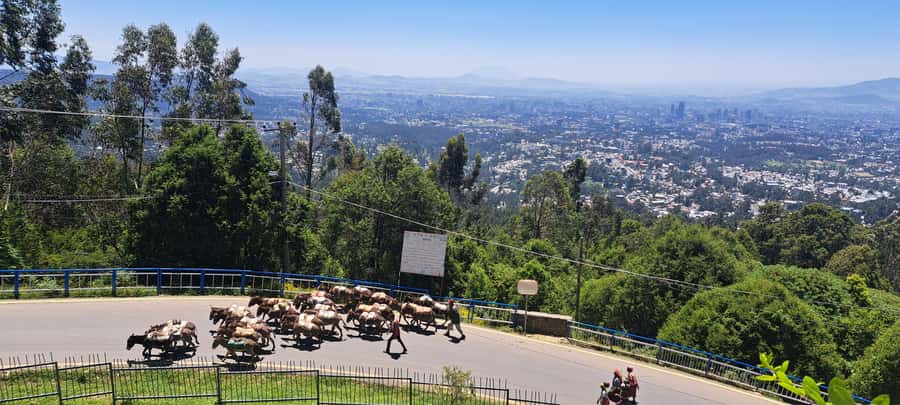 Addis Ababa Essentials: Flexible Full-Day City Sightseeing - Entoto Mountain, coffee, and a family lunch