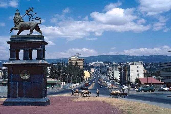 Addis Ababa Half Day Shopping Tour - Starting at Bole Airport with a private transfer