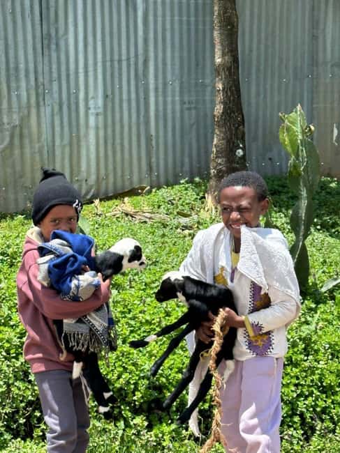 Addis Ababa highlight city tour - Who should book this Addis Ababa city tour?
