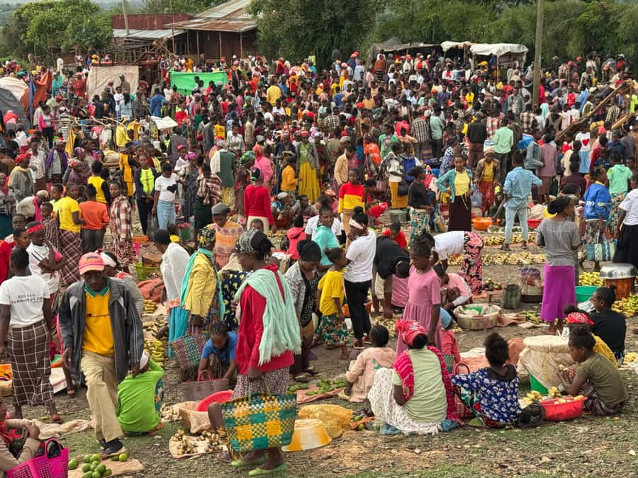 Addis Ababa: Mercato Market and Sightseeing Tour - A surprising stop for Ethiopian space science