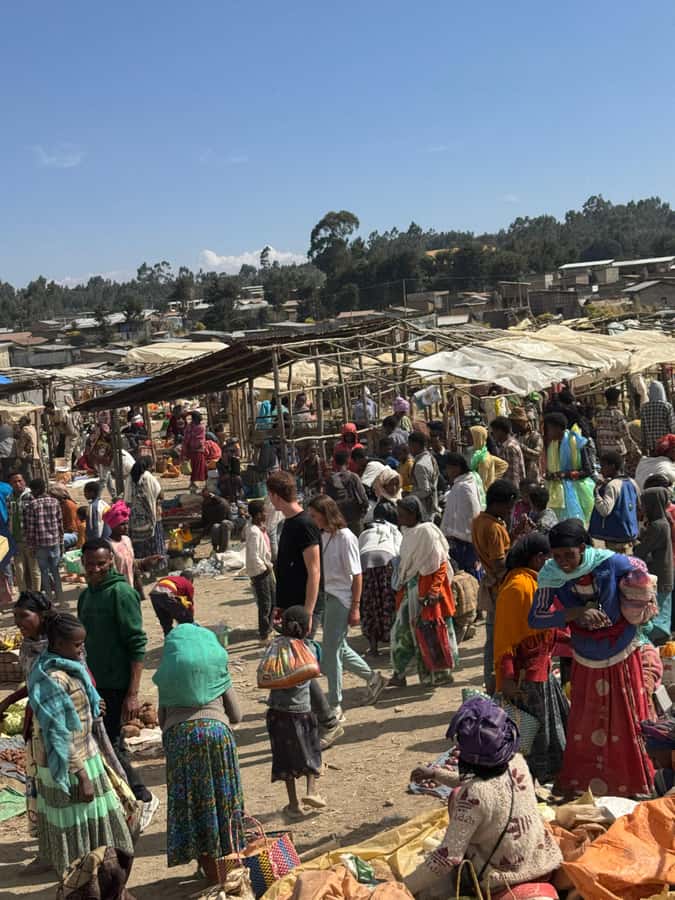 Addis Ababa: Mercato Market and Sightseeing Tour - What you will see among the market stalls