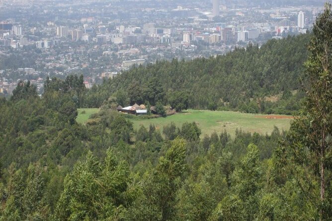 Addis Ababa +Mount Entoto View Point,Museums Palace Market Tours - Tomoca Coffee and Safi Honey